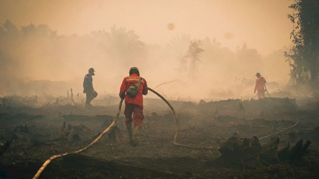 Karhutla Tanjung Puting, Menhut Raja Antoni Tingkatkan Water Bombing