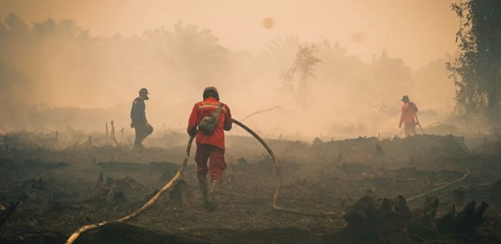 Karhutla Tanjung Puting, Menhut Raja Antoni Tingkatkan Water Bombing