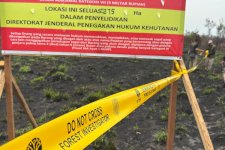 Kemenhut Telusuri Pertanggungjawaban Karhutla hingga Pemilik Manfaat Korporasi