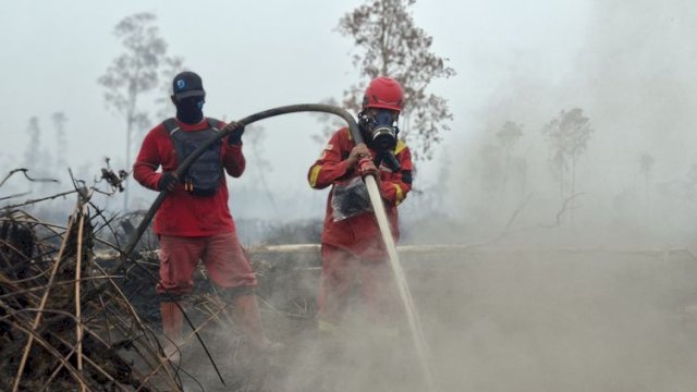 Hotspot Turun 617 Titik, Operasi Karhutla Tetap Diperkuat