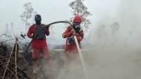 Kemenhut: Hotspot Turun 617 Titik, Operasi Karhutla Tetap Diperkuat