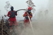 Kemenhut: Hotspot Turun 617 Titik, Operasi Karhutla Tetap Diperkuat