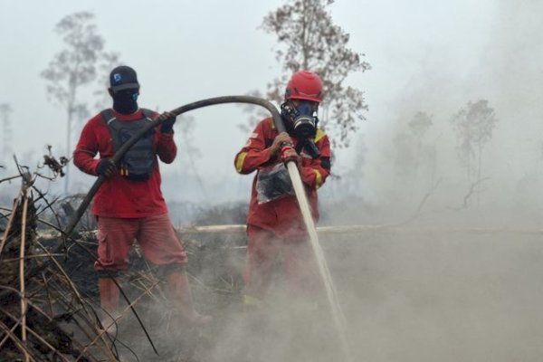 Kemenhut: Hotspot Turun 617 Titik, Operasi Karhutla Tetap Diperkuat
