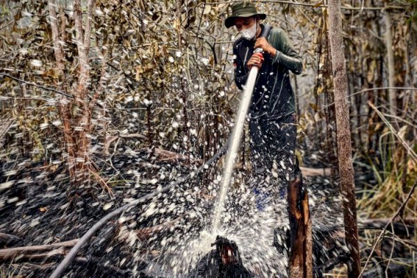 Hotspot Turun Jadi 93 Titik, Menhut Pastikan Banpres Karhutla Sumsel Tepat Sasaran
